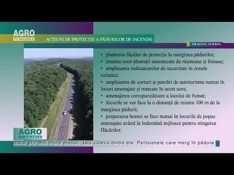 Feriți pădurea de incendii
