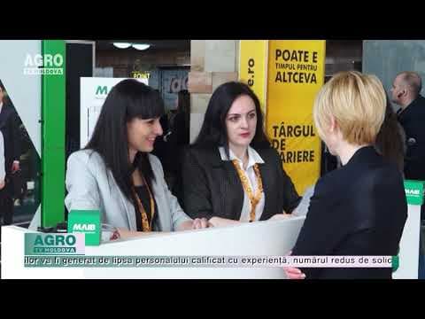 Piața muncii din Moldova în 2021