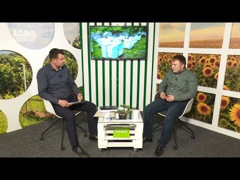 Verde-n ochi: Cât de complicat este să dezvolți o afacere în domeniul apiculturii?