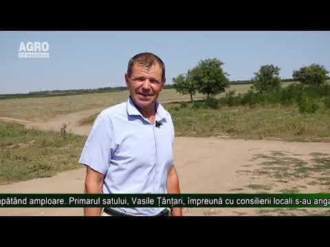 AGRO TV News - 10. 09. 2019