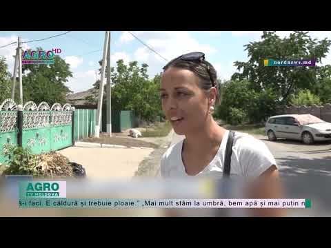 Canicula e caniculă, dar lucrul în câmp nu așteaptă…