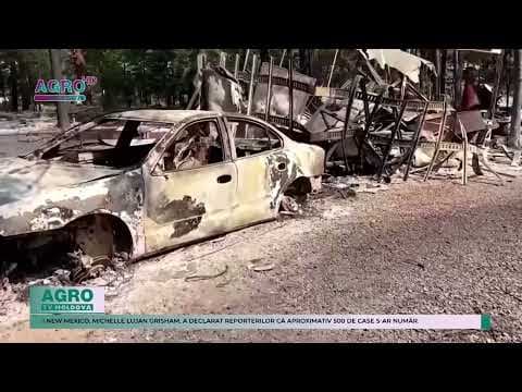 Două decese și circa 500 de case distruse din cauza flăcărilor