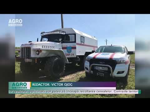 Ploile continuă să aducă pagube agricultorilor / VIDEO