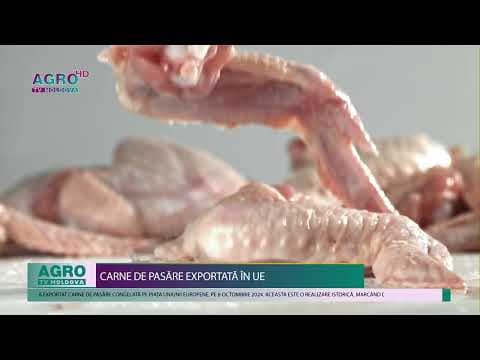 Primele loturi de carne de pasăre din Moldova, exportate în Uniunea Europeană