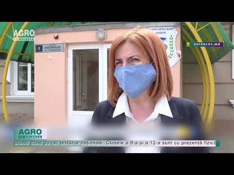 Învățământ inedit: Lecții în aer liber