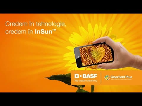Credem în tehnologie, credem în InSunTM. Hibrizi de floarea-soarelui de la BASF