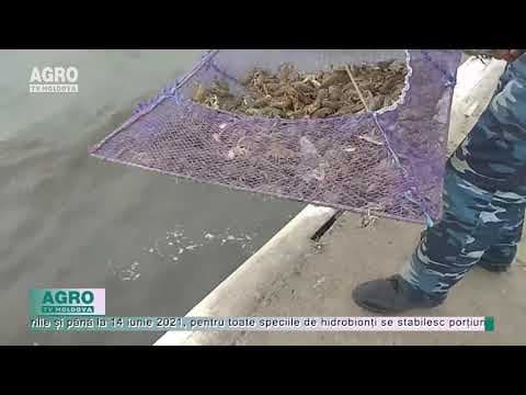 Când va fi interzis pescuitul