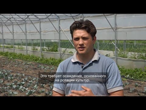 Tinerii investesc în agricultura ecologică
