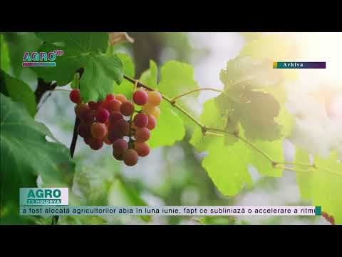 AIPA a valorificat aproximativ 50% din Fondul Național de Dezvoltare a Agriculturii și Mediului Rural