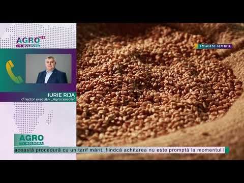 Rija: „Recomand agricultorilor să vândă floarea-soarelui”
