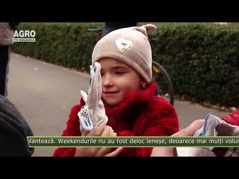 AGRO TV News - 05. 11. 2019