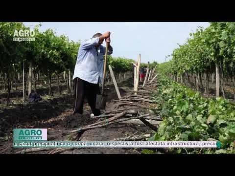 Agricultura, în pericol