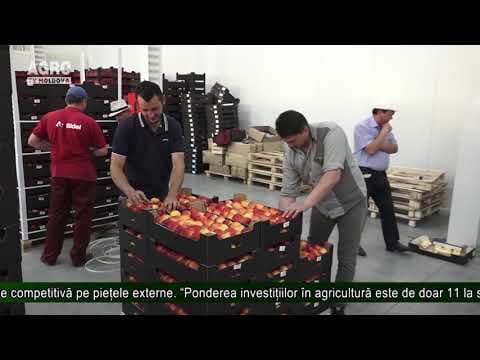 Un registru online al depozitelor frigorifice – în curând și la noi în țară