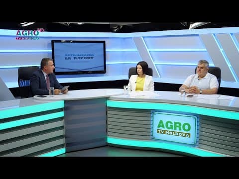 Exporturile de cereale într-un an foarte dificil din punct de vedere agricol