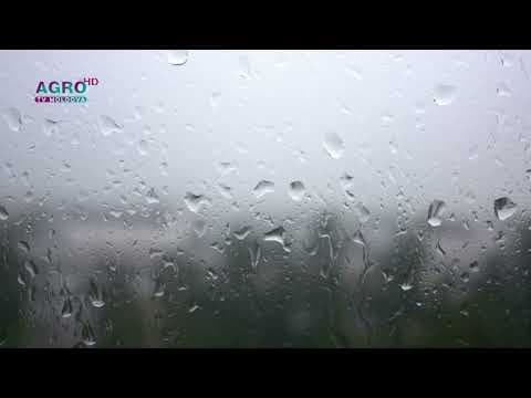 Vreme posomorâtă pentru acest weekend, prognozează meteorologii