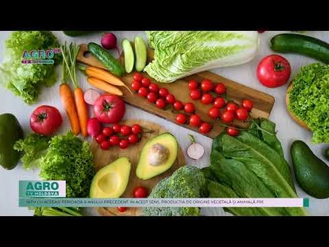 Producția totală agricolă din Republica Moldova a înregistrat o creștere în primele șase luni ale anului