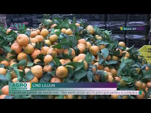 A început culesul portocalelor în China