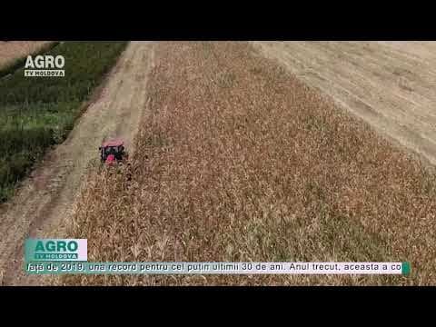 2020 – cea mai mare criză în agricultură din ultimii 30 de ani