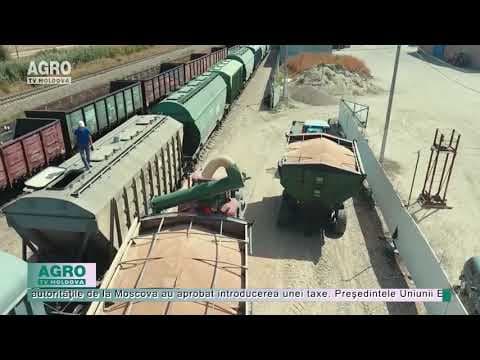 Rusia va deveni principalul exportator de grâu