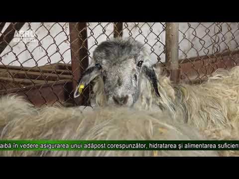 AGRO TV News - 20. 08. 2019