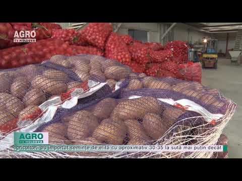 Producătorii de cartofi au importat mai puține semințe de elită
