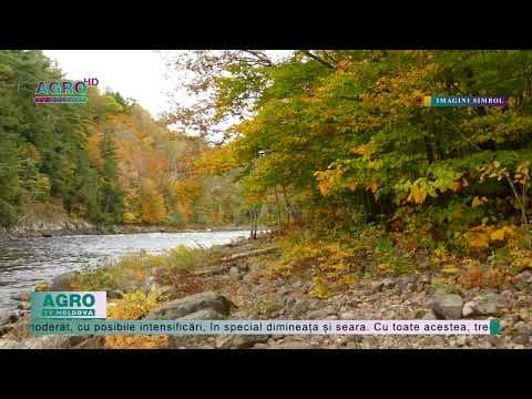 Cum va fi vremea săptămâna aceasta? Prognozele meteorologilor