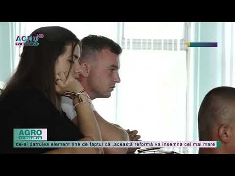 Ce cred experții despre reforma universităților?