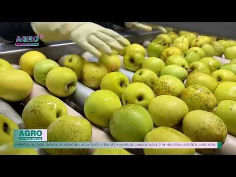 Japonia dezvoltă tehnologie cu infraroșu pentru a păstra prospețimea produselor