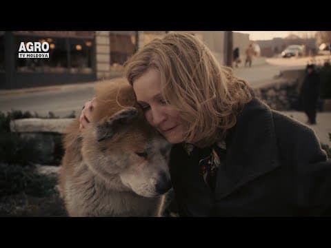 Prietenii lui Cucoș – CÂT COSTĂ O VIAȚĂ DE CÂINE(?)
