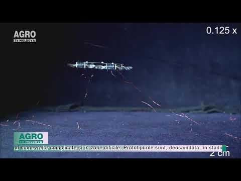 VIDEO/Drone-insecte pentru inspectarea culturilor agricole
