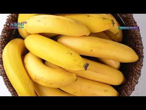 Un lot de banane, restras din comerț pentru depășirea limitei de pesticide