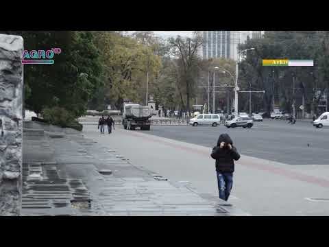 18,5 la sută dintre moldoveni nu au fost niciodată peste hotare