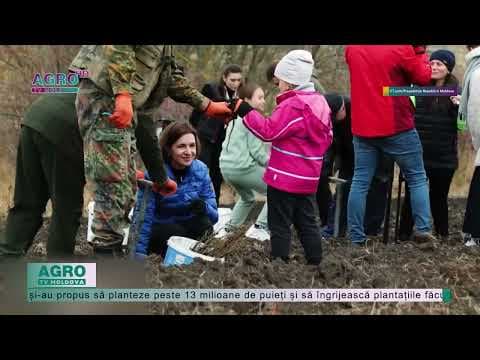În martie începe campania de împădurire