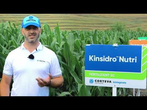 Kinsidro Nutri – Un fertilizant foliar unic