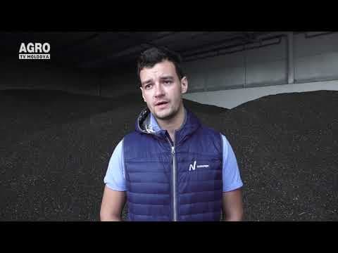 Baștina din 29.09.2019