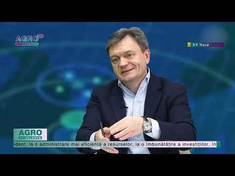 Amalgamarea, între suspiciune și reformă