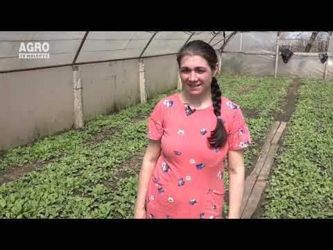 Baștina din 09.05.2021