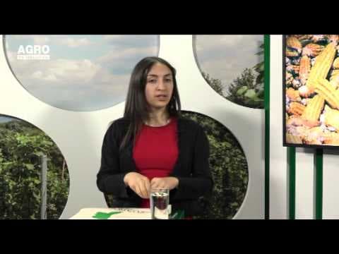 Ziua Pământului - o șansă pentru viitor. INVITAȚI: Valeria Șvarț-Gröger, președinte la EcoVisio și Ion Ungureanu, secretarului ONG-ului