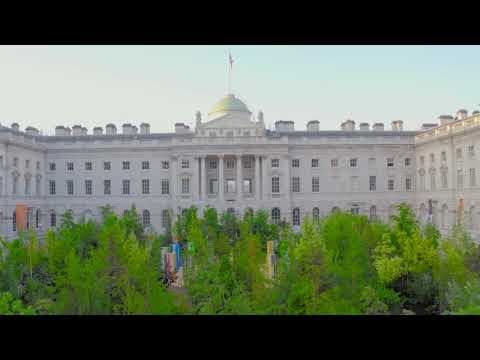 VIDEO/400 de copaci transformă piața urbană într-o „pădure pentru schimbare” la bienala de design din Londra