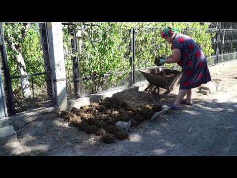 VIDEO/După ce s-au scumpit lemnele și gazul, nu găsești nici bălegar…