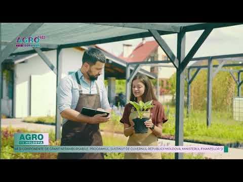 Fermierii pot accesa credite avantajoase printr-un nou program guvernamental