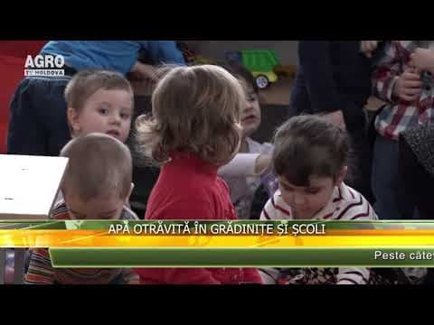 AGRO TV News - 28. 11. 2019