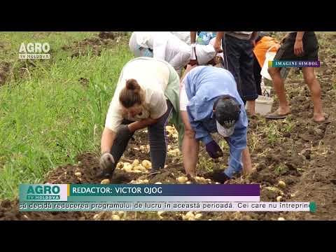 Șefii, obligați să aibă grijă de angajați
