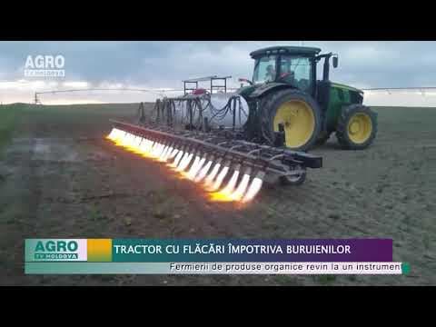 VIDEO/Tractor cu flăcări împotriva buruienilor