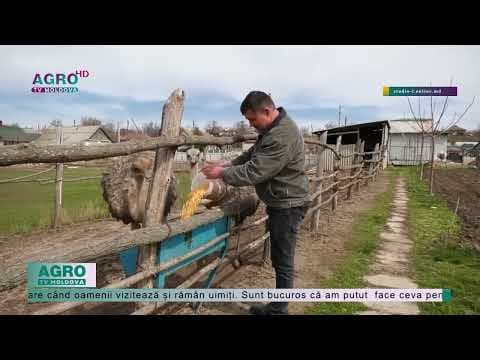 Și-a înființat din pasiune o mini-fermă exotică