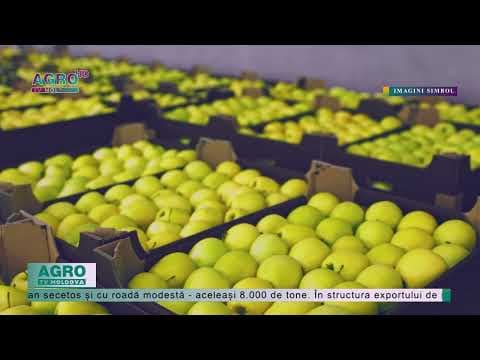 Volumul de export al merelor, mai mic decât cel prognozat
