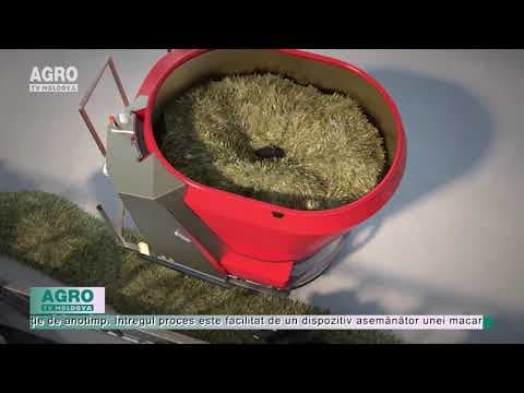 VIDEO/Roboți-chelneri la fermele din Olanda