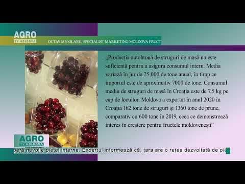 Croația – o piață de alternativă pentru fructele moldovenești