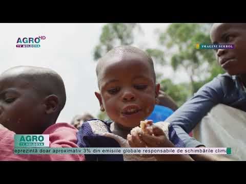 Criza alimentară din Africa, cea mai mare de până acum