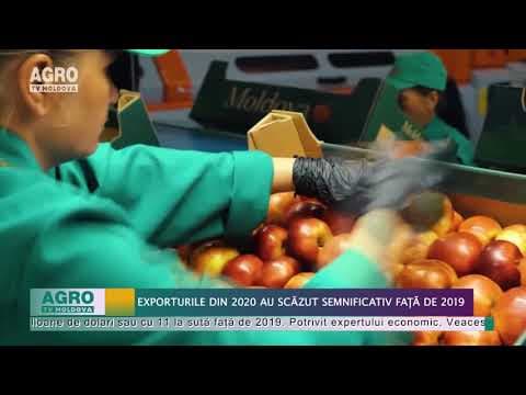 Exporturile din 2020 au scăzut semnificativ față de 2019